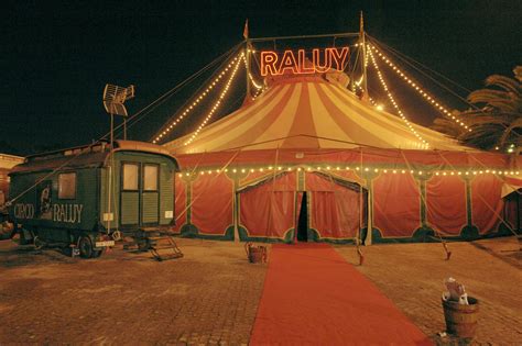 Experience the Thrills and Wonders of a Circus Themed Night